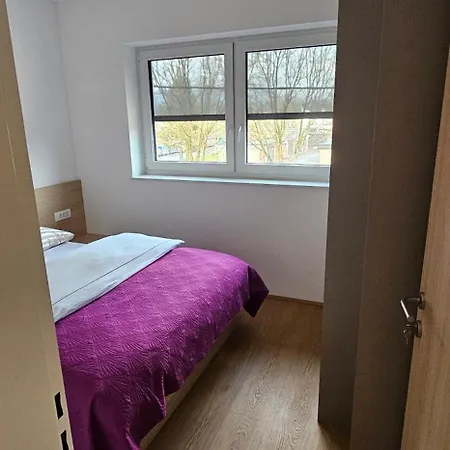 Guest house Muric 3*